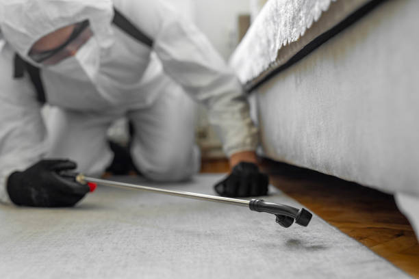 Professional Termite Control technician working in Montgomery City, MO