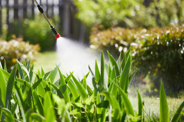 24/7 Emergency Termite Control experts in Montgomery City, MO