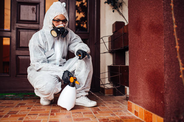 Reliable Termite Control contractor in Montgomery City, MO by Nex Pest Control
