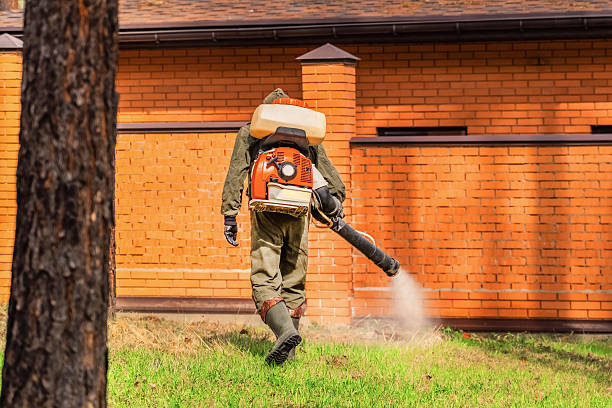 Trusted Mosquito Control service in Montgomery City, MO - Nex Pest Control